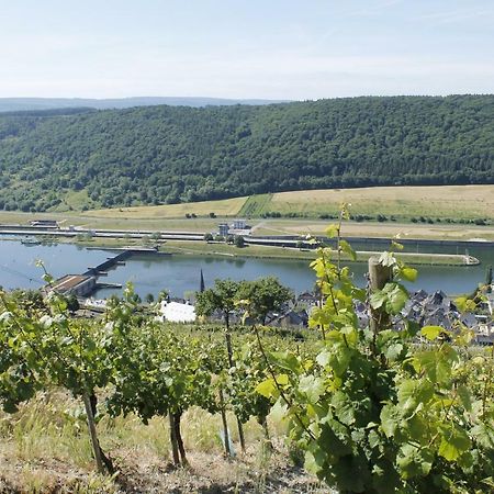Ferienhaus Moselblick Mit Kostenfreien Oepnv-Ticket Ürzig المظهر الخارجي الصورة
