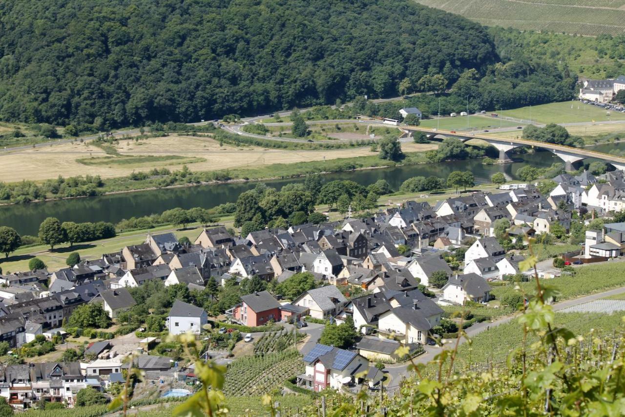 Ferienhaus Moselblick Mit Kostenfreien Oepnv-Ticket Ürzig المظهر الخارجي الصورة