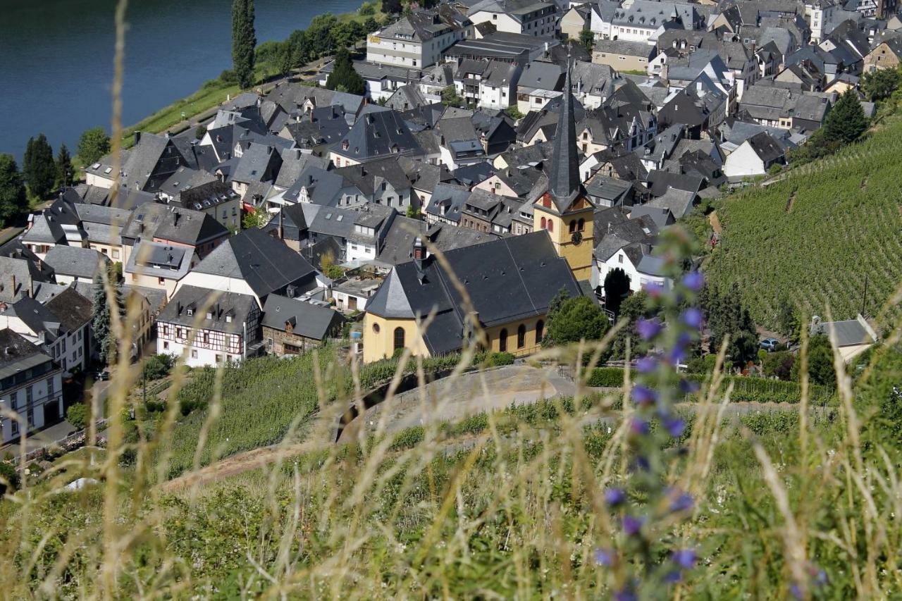 Ferienhaus Moselblick Mit Kostenfreien Oepnv-Ticket Ürzig المظهر الخارجي الصورة